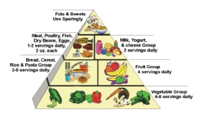 PW Food Pyramid