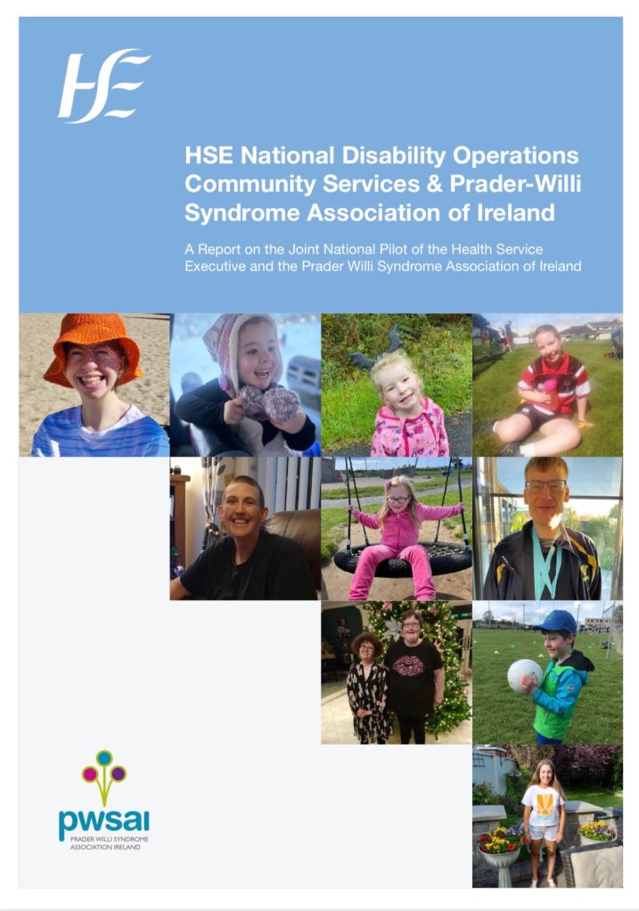 PWSAI & HSE National Report